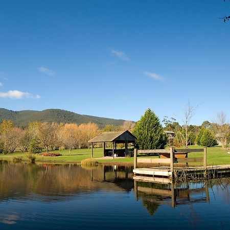 Sanctuary Park Cottages Healesville Exterior foto