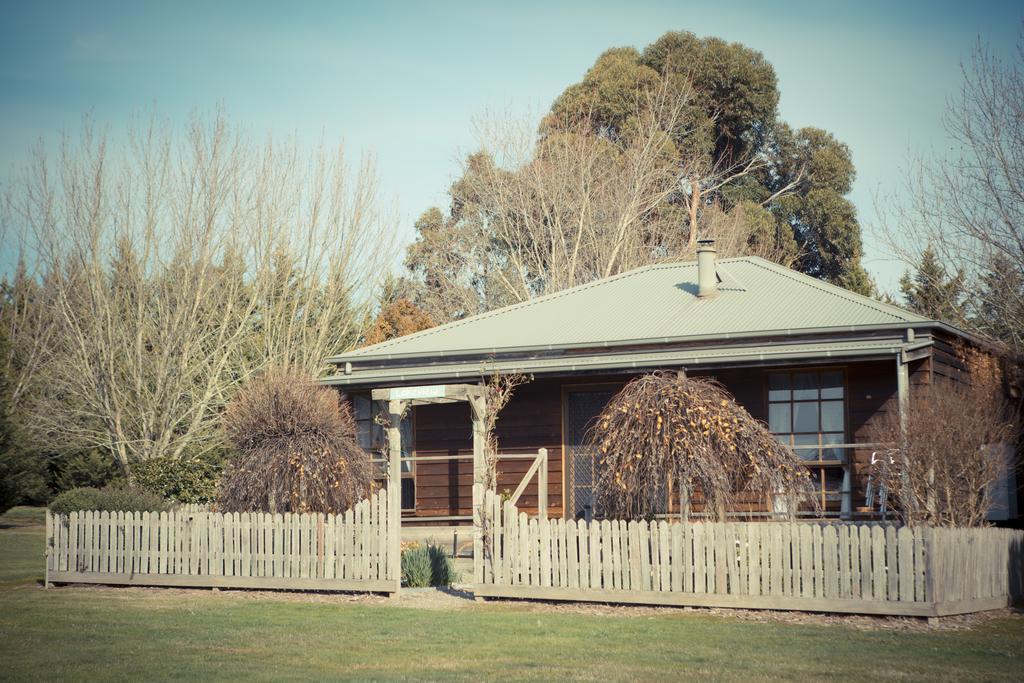 Sanctuary Park Cottages Healesville Exterior foto