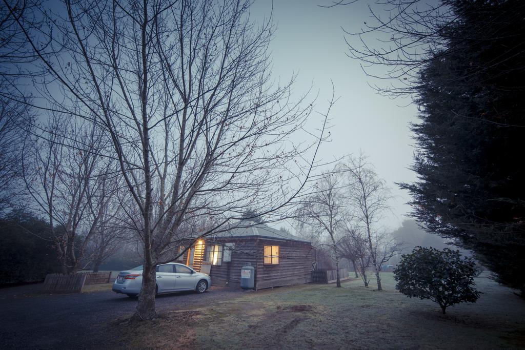 Sanctuary Park Cottages Healesville Exterior foto