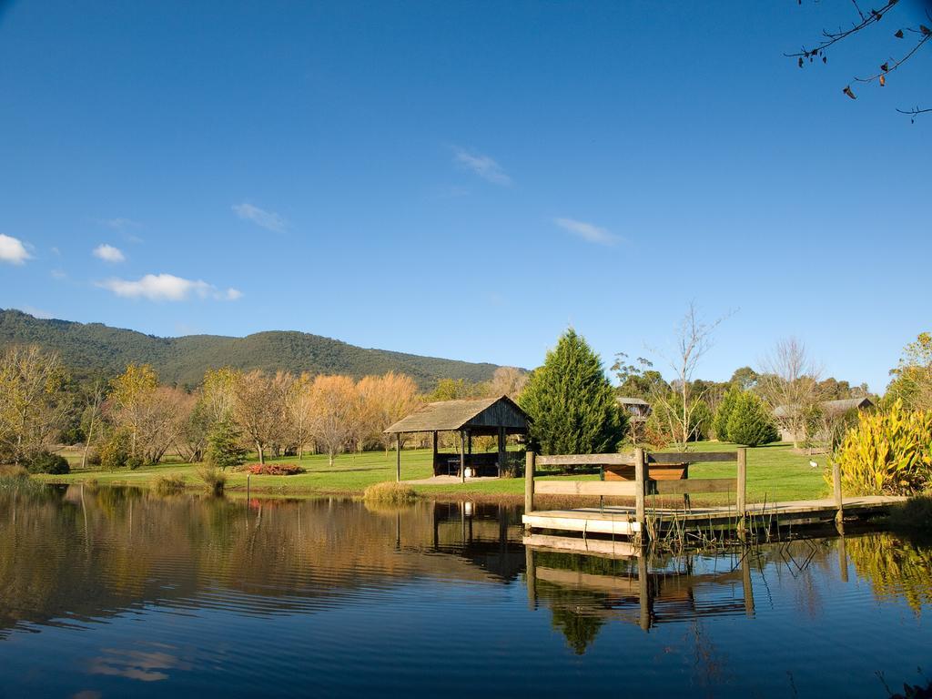 Sanctuary Park Cottages Healesville Exterior foto