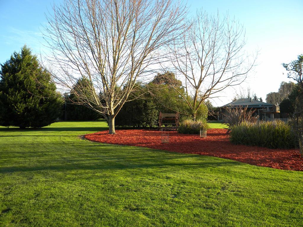 Sanctuary Park Cottages Healesville Exterior foto